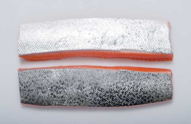 This Salmon Is the Wagyu Beef of the Seafood World